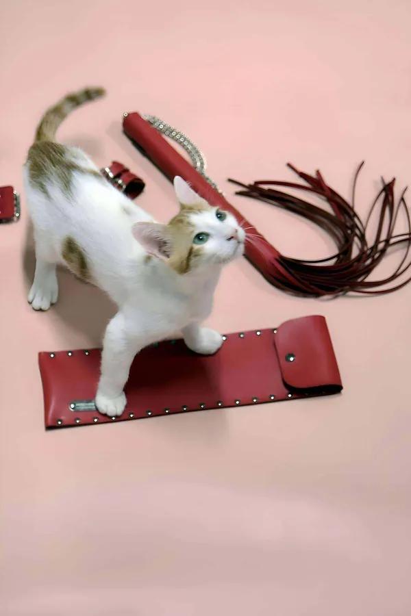 Red Faux Leather Whip and Adjustable Cuff Set