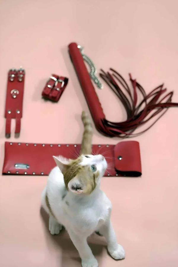 Red Faux Leather Whip and Adjustable Cuff Set