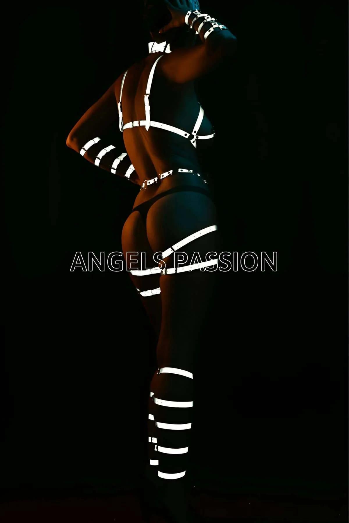 Reflective Full Body Harness with O-Ring