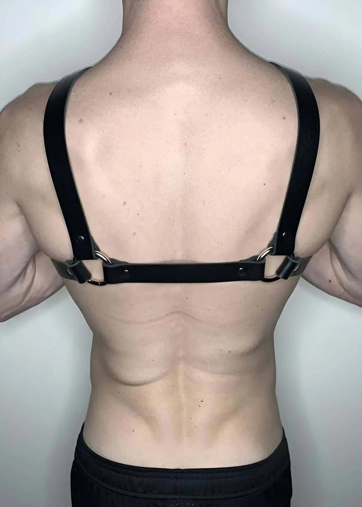 Chest Harness with Double O-Rings & Adjustable Straps