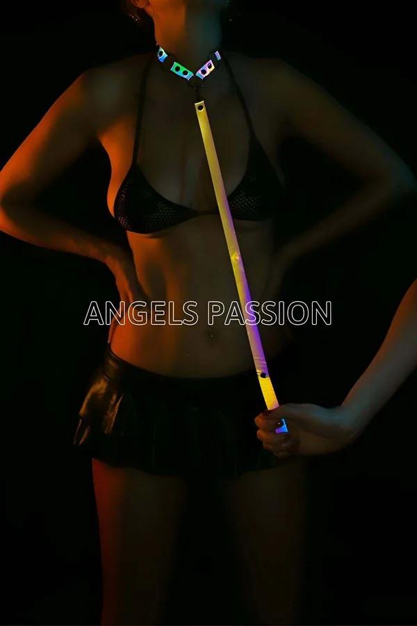 Luminous Reflective Collar with Detachable LED Leash
