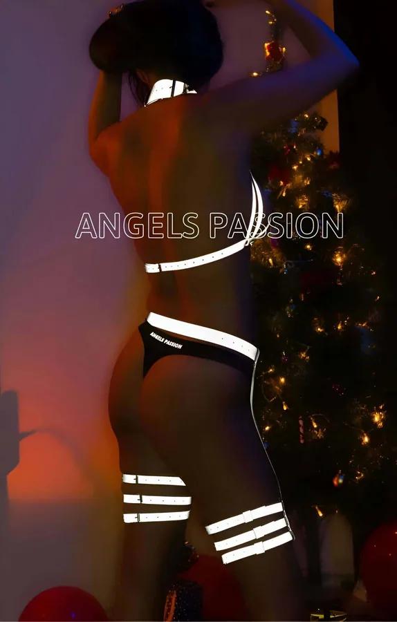 Reflective Halter Harness and Garter Set