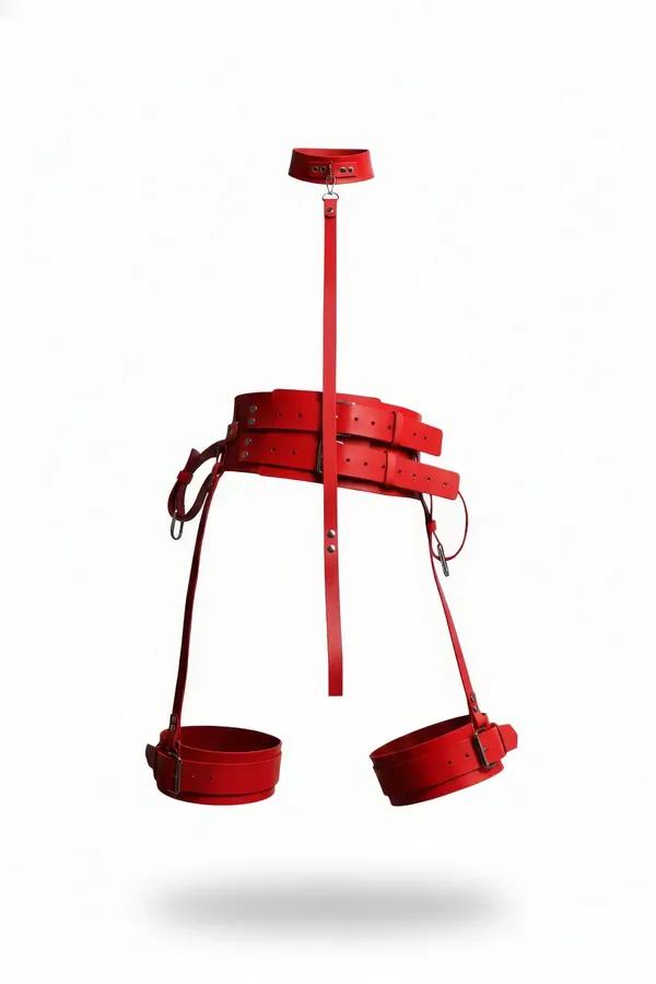 Multi-Strap Thigh Harness with Collar & Connecting Strap