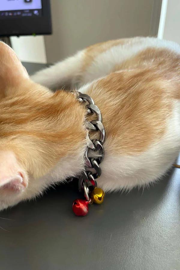 Chunky Curb Chain Choker with Mini Bells