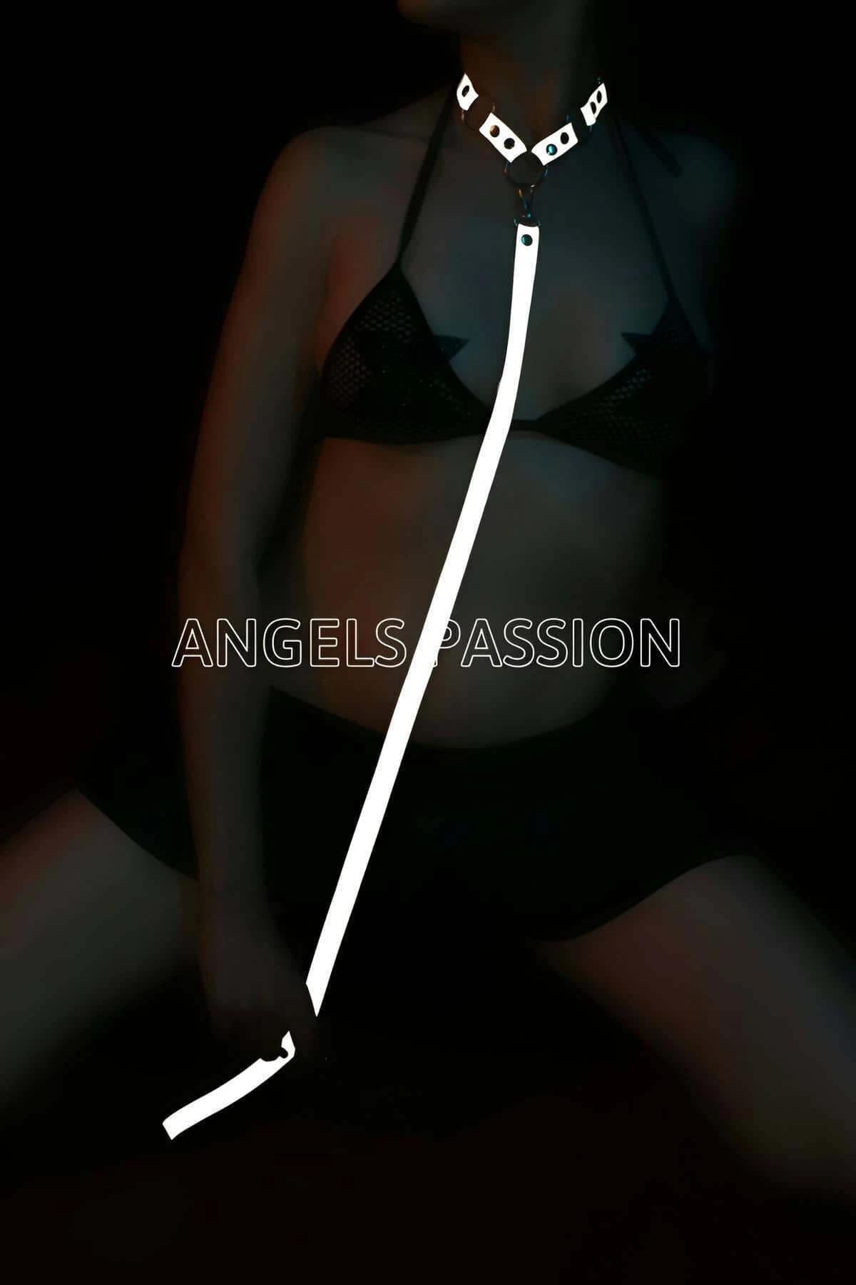 Special Collar that Glows in the Dark - APFT309