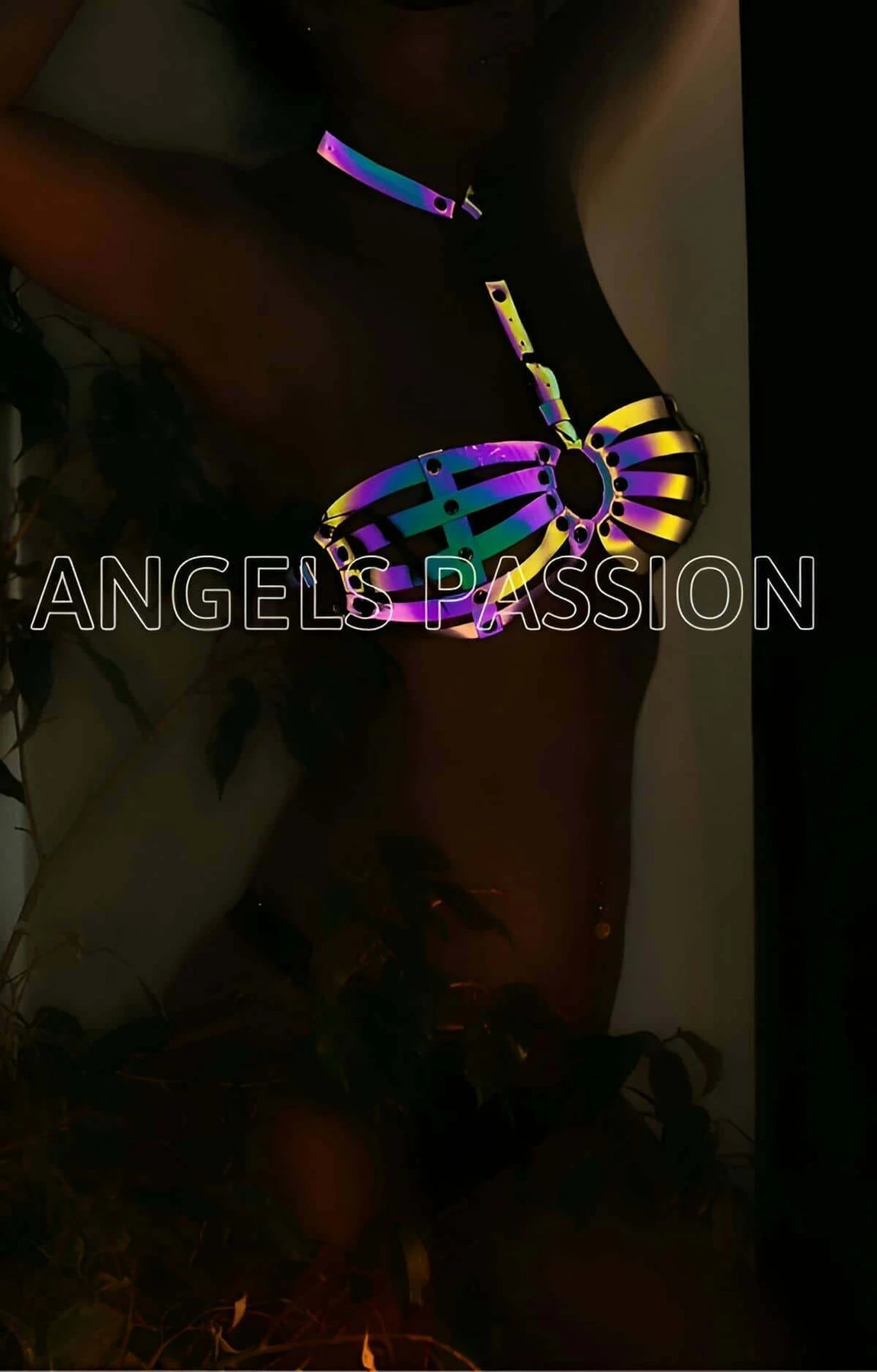 Women's Underwear Colorful Reflective Bra - APFT224