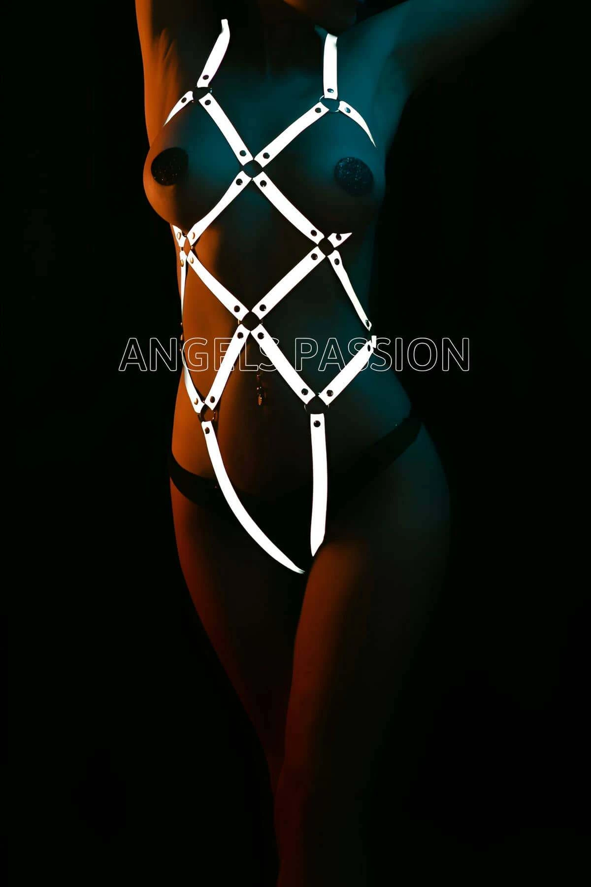 Erotic Underwear Reflective Harness - APFT368