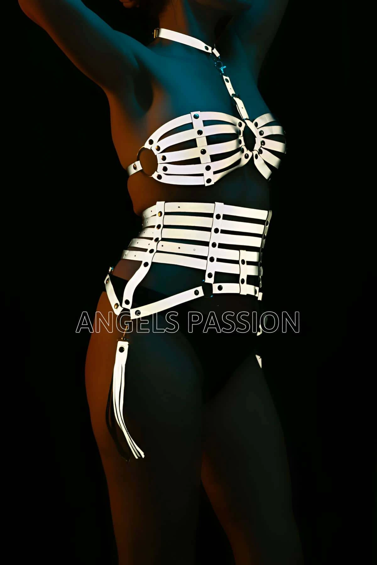 Reflective Harness Corset Set - APFT378