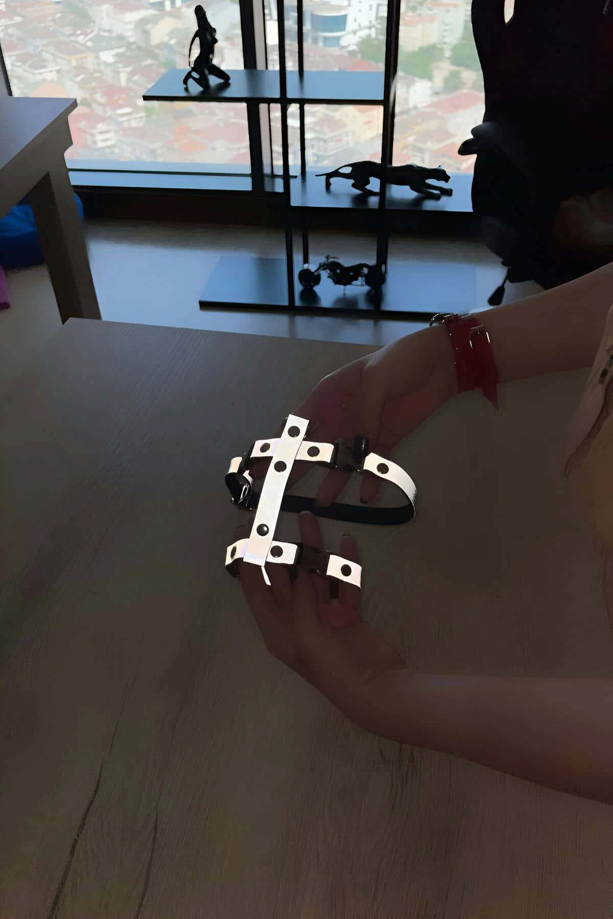 Cat Harness Reflective in the Dark Chest and Travel Set - NPC007