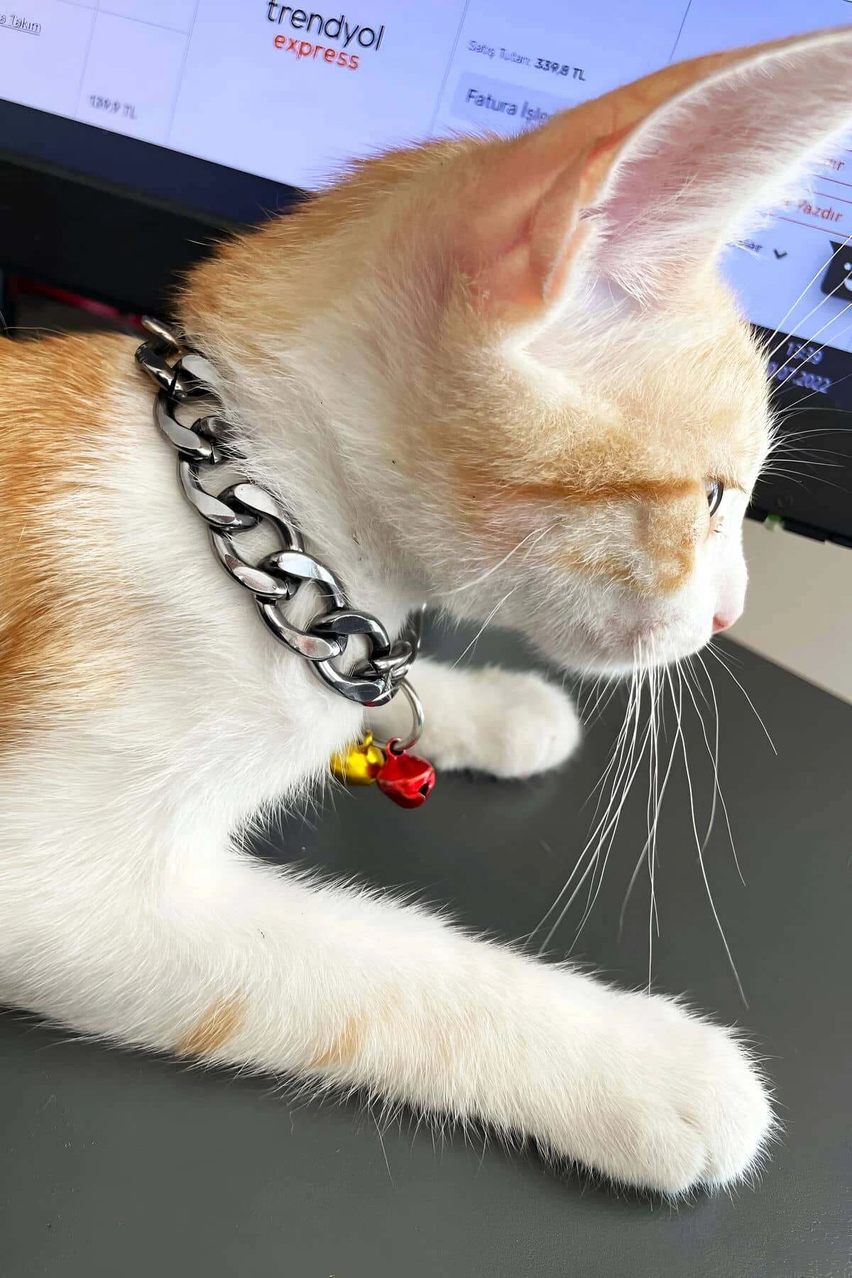 Rapper Cat Collar, Cat Collar with Chain and Bell - NPC012