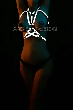 Reflective Harness Top Silver Geometric Design with O-Rings