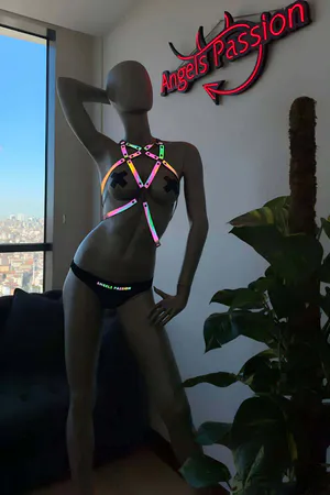 Rainbow reflective body harness with adjustable straps and metal buckles