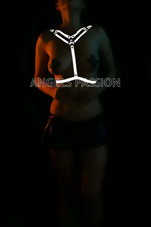 Black reflective Y-front body harness with adjustable straps