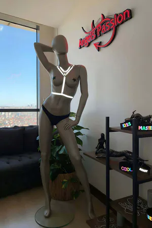Black reflective Y-front body harness with adjustable straps