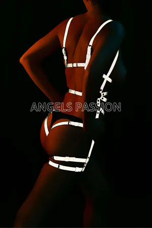 Silver reflective full body harness with adjustable straps and buckles