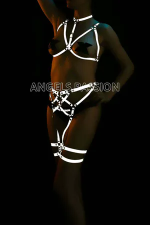 Reflective Full Body Harness with O-Ring and Adjustable Straps