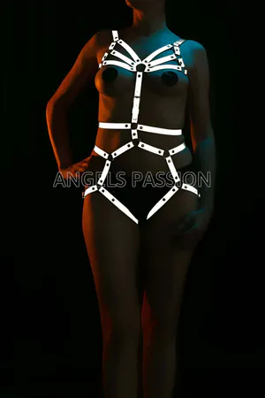 Reflective full body harness with white straps and star pattern on legs