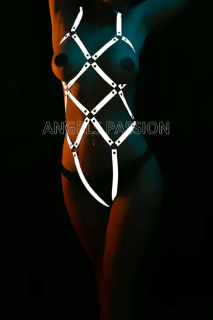 Reflective Full Body Harness with Geometric Straps