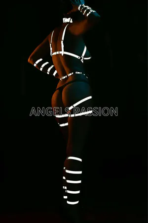 Reflective full body harness set with white straps and O-ring detail