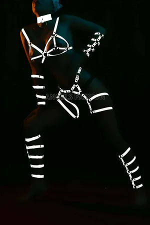 Reflective full body harness set with white straps and O-ring detail