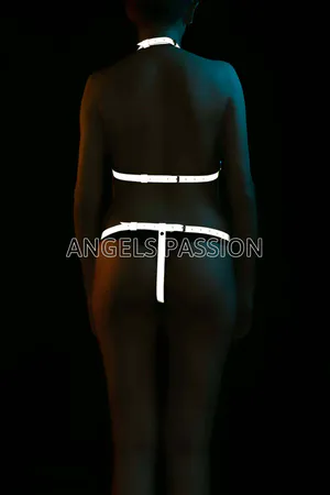 Reflective geometric harness lingerie set with bra and briefs