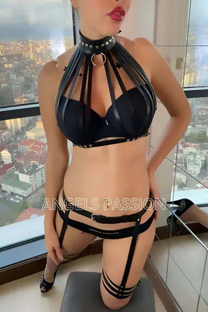 Black Caged Harness Bra & Garter Set with O-Ring Choker and Thigh Straps