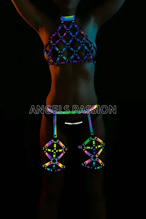 Iridescent reflective full body harness with lattice design
