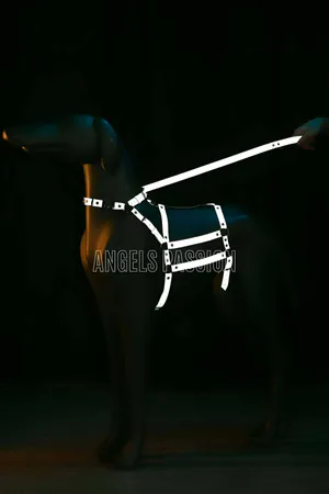 Reflective Strap Body Harness Set Black with Leash Fashion
