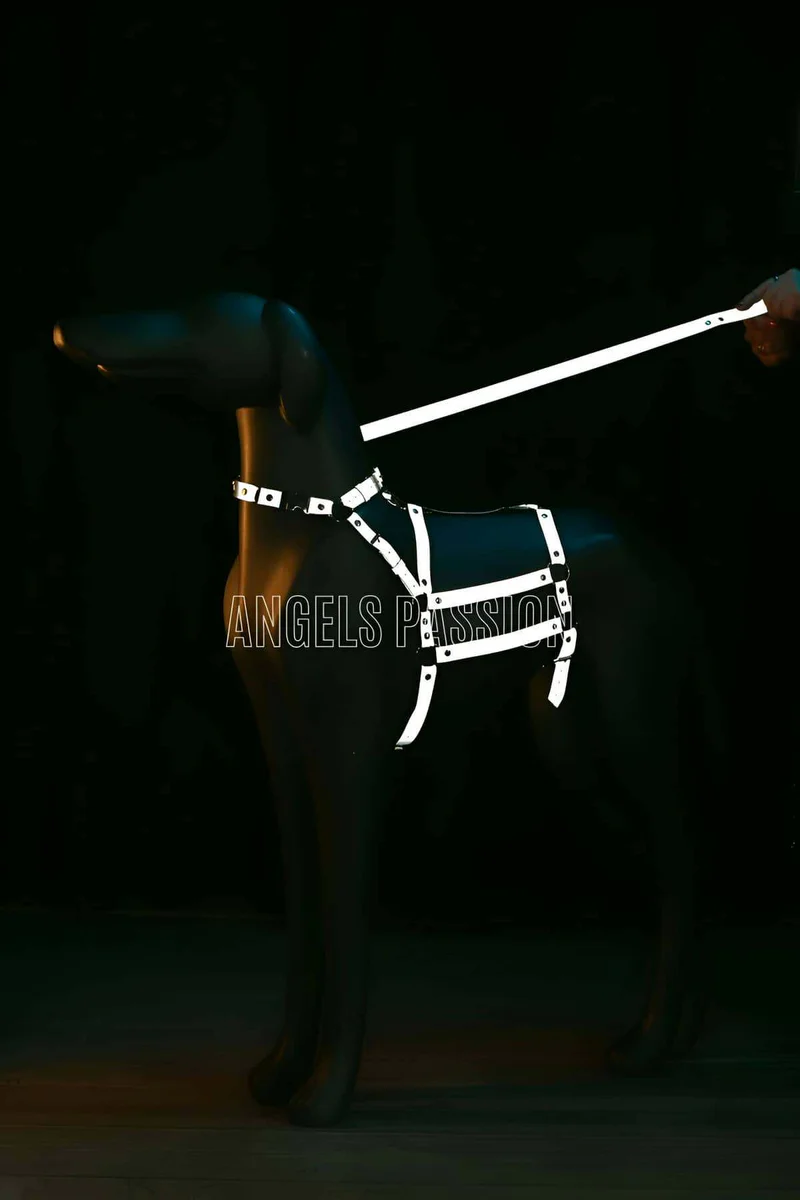 Reflective Festival Harness Outfit Flat Lay Black Material