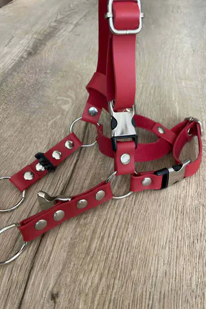 Red Faux Leather Cat Harness with O-Ring and Adjustable Straps Worn by Tabby Cat