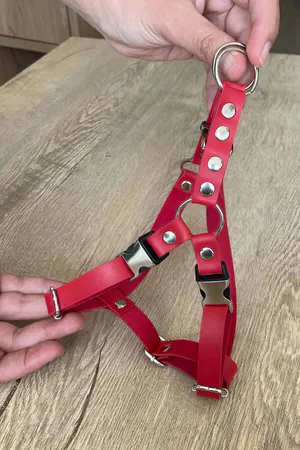 Red Faux Leather Cat Harness with O-Ring and Adjustable Straps Worn by Tabby Cat