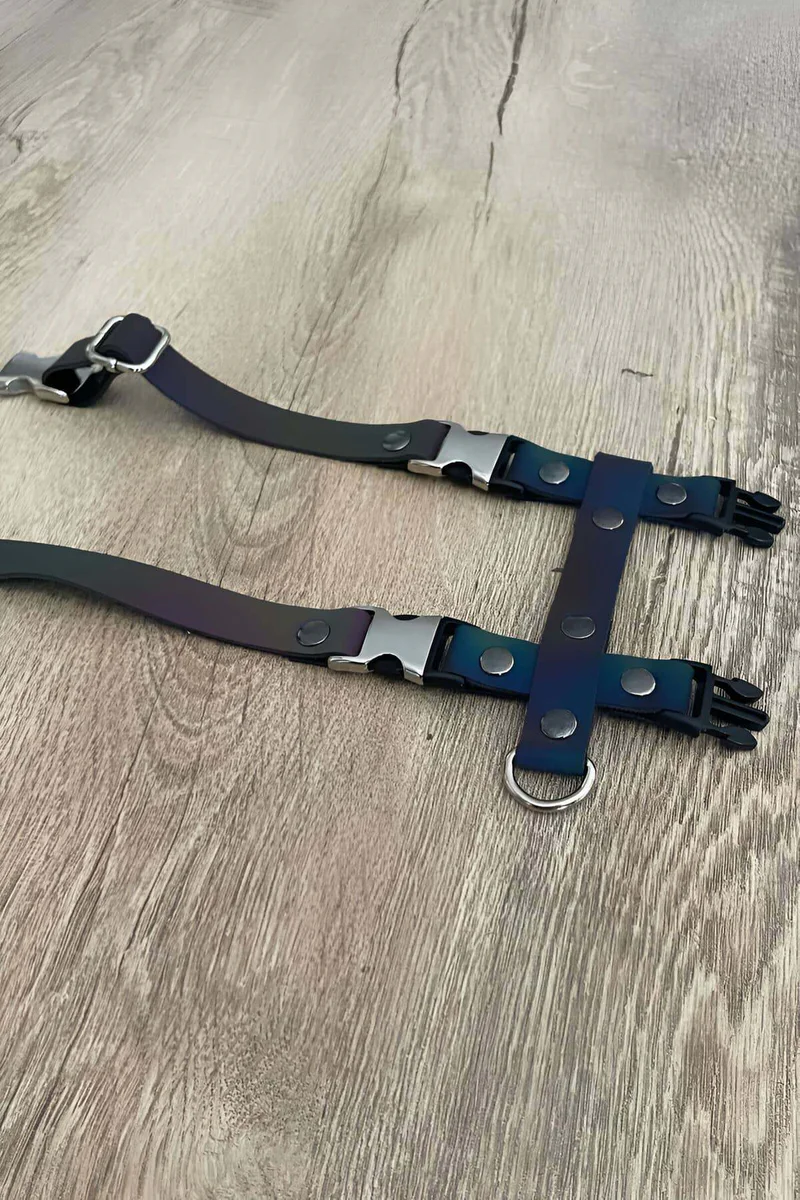 Rainbow Reflective Body Harness Back View Silver Chain Hardware Detail