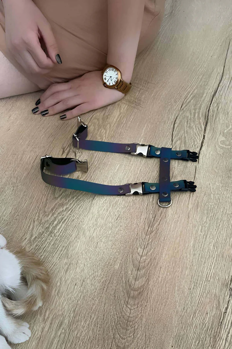 Close-Up Rainbow Harness Strap Reflection Under Light Showing Adjustable Buckles and Iridescent Material on Wooden Floor