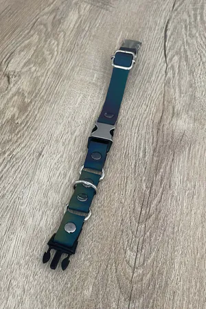 Reflective Rainbow Choker Black Faux Leather with Silver O-Rings Front View