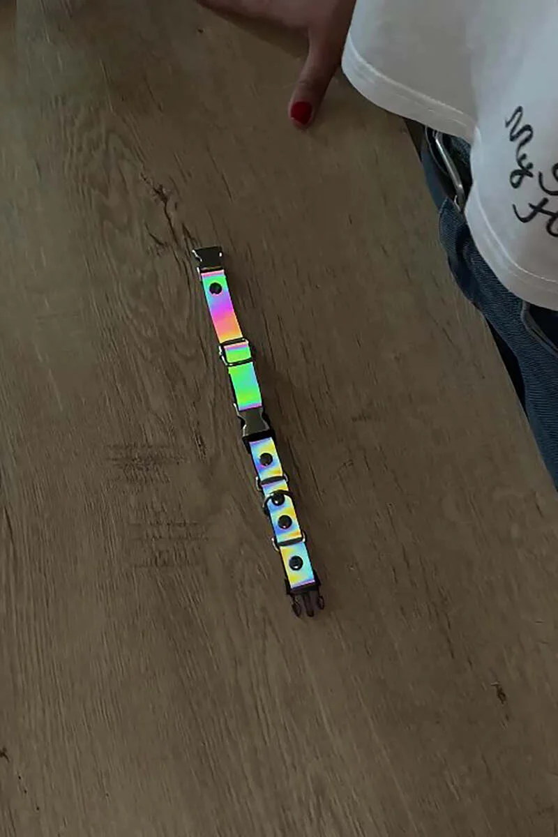 Rainbow Choker Close-Up Detail Silver O-Ring Hardware Festival Accessory on Wood Floor