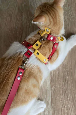 Red and Yellow Faux Leather Cat Chest Harness with D-Ring Leash Attachment Step-In Design