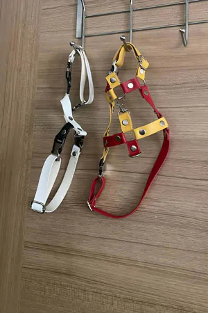 Red and Yellow Faux Leather Cat Chest Harness with D-Ring Leash Attachment Step-In Design