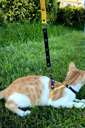 Yellow and Navy Faux Leather Cat Harness with Metal D-Ring and Adjustable Straps