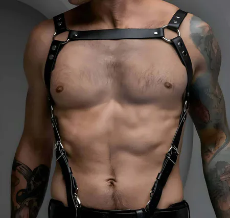 Black adjustable chest harness with O-ring accent and metal buckle