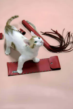 Red Faux Leather Whip and Adjustable Cuffs Set with Cat Model