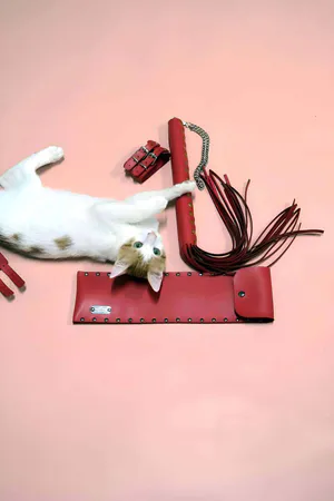 Red Faux Leather Whip and Adjustable Cuffs Set with Cat Model