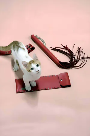 Red Faux Leather Whip and Adjustable Cuffs Set with Cat Model