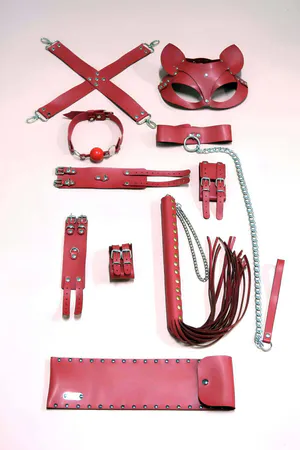 Red Faux Leather Restraint & Accessory Kit Cat Mask Gag
