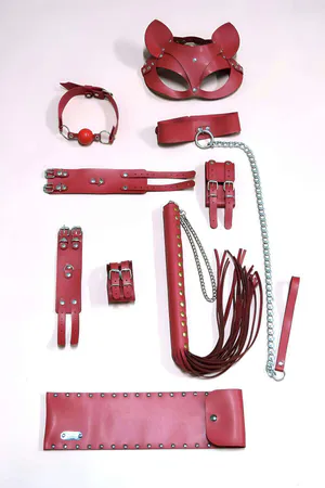 Red Faux Leather Play Set with Cat Mask, Collar, Cuffs, Gag, Flogger and Storage Wrap