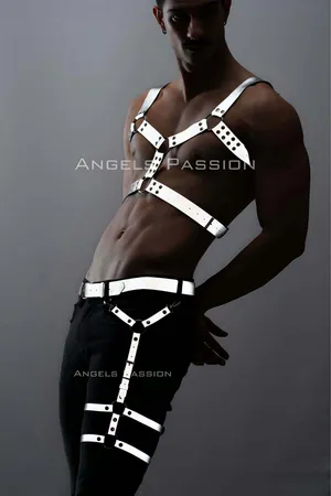 Reflective chest and leg harness set silver straps