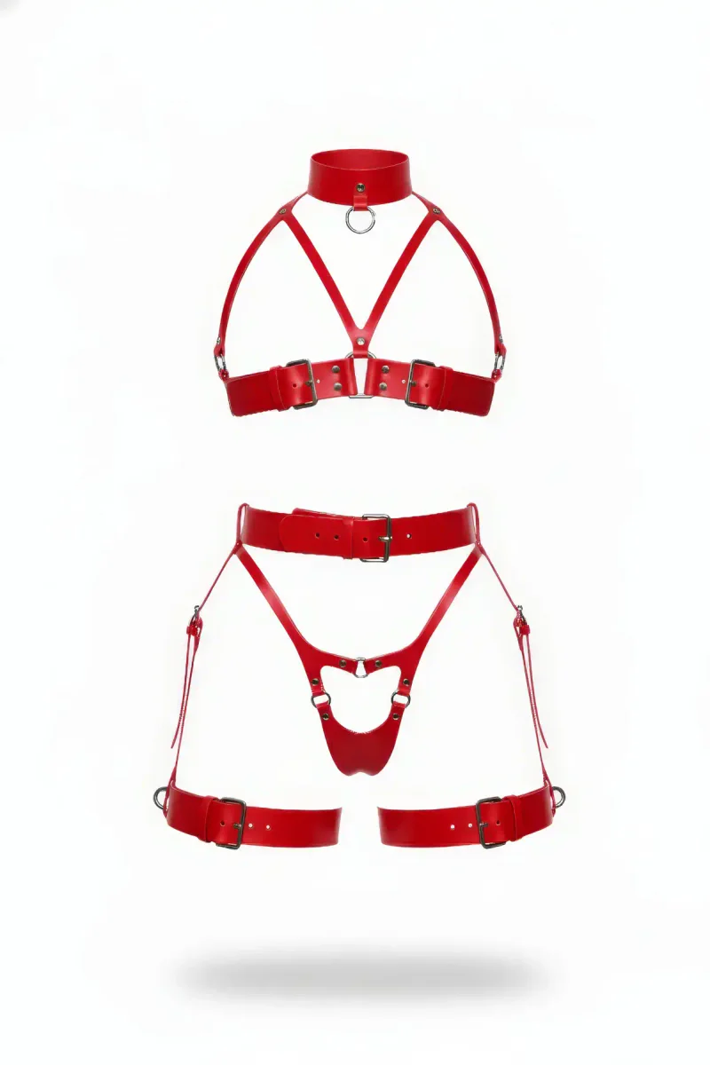 Red Faux Leather Harness Lingerie Set High Collar Choker Garter Straps