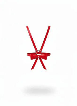Red Satin Ribbon Harness with Bow Detail, Adjustable Straps